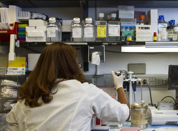 2026年医学影像分析与AI辅助诊断国际会议