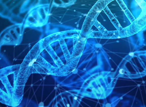 2025生物学、农业与畜牧业国际会议
